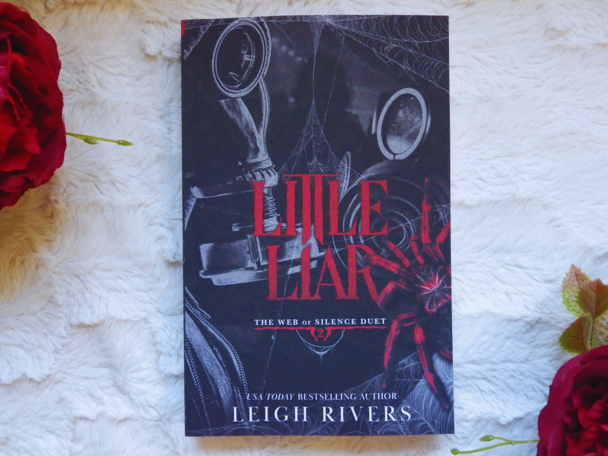Little Liar, Leigh Rivers (mjukbok)