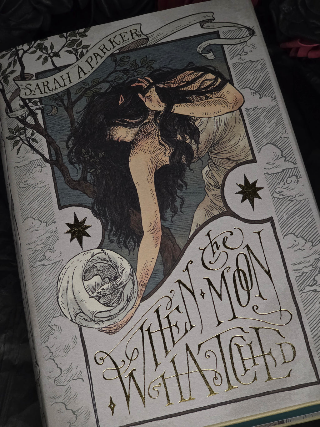 When the Moon Hatched Deluxe Edition, av Sarah A. Parker (inbunden, engelsk utgåva)