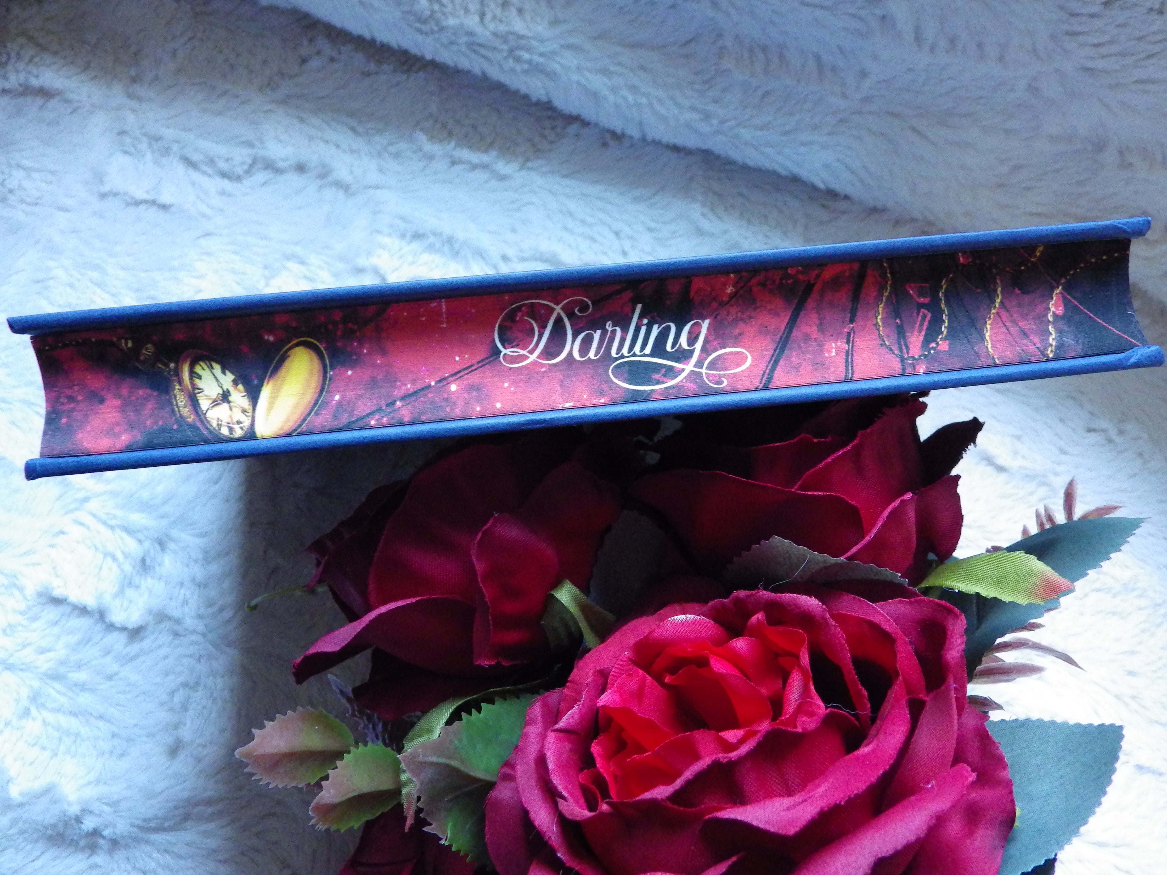 Hooked Collector's Edition, Emily McIntire (hardback)