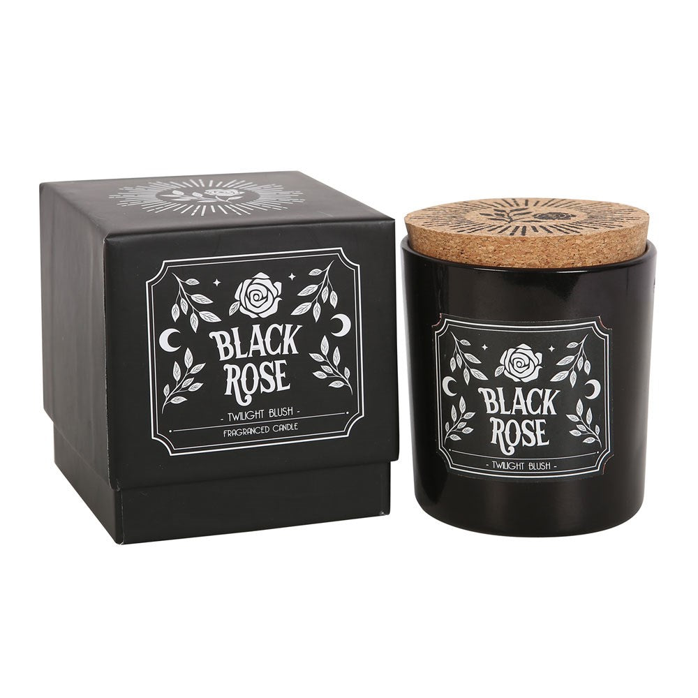 Black Rose Twilight Blush-ljus