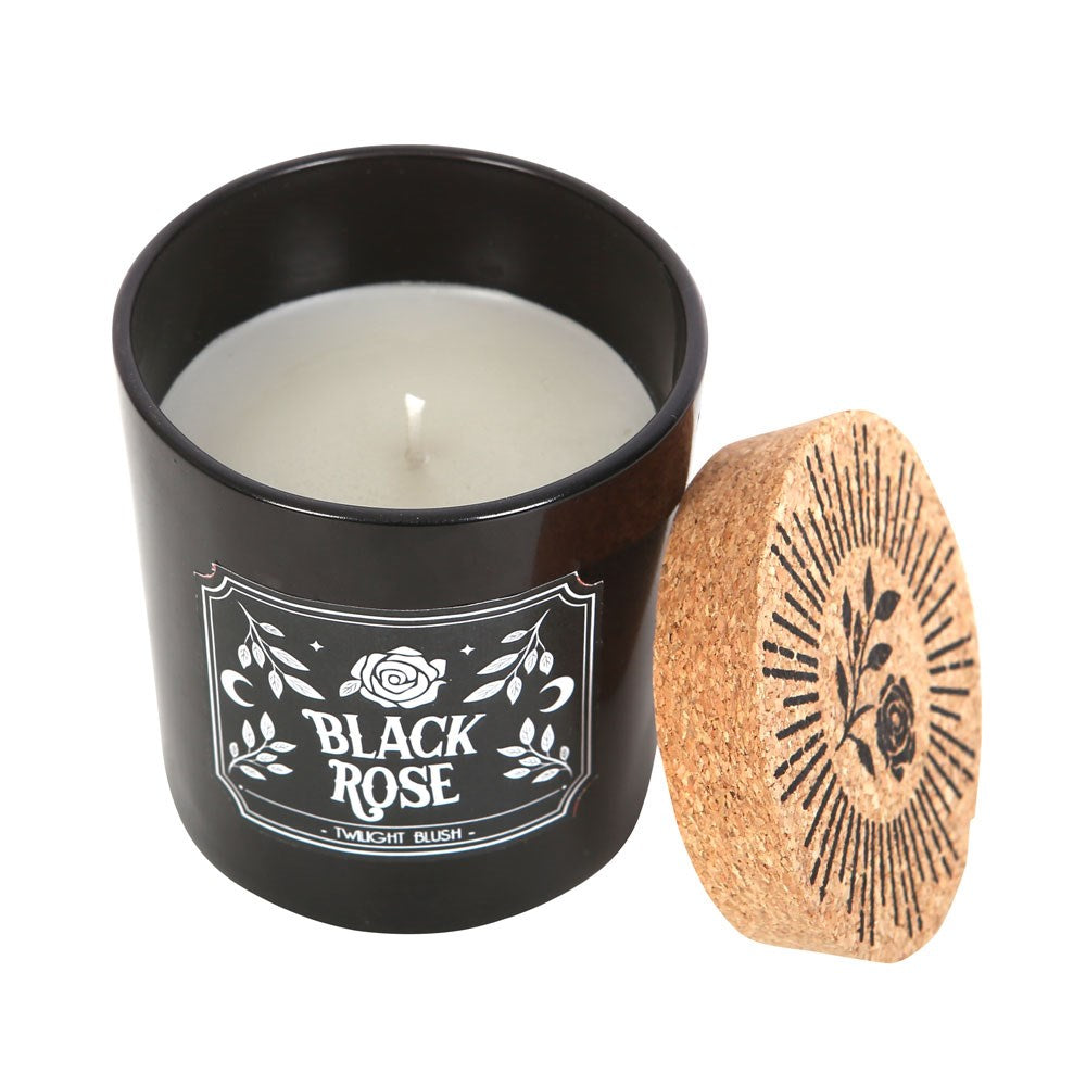 Black Rose Twilight Blush-ljus