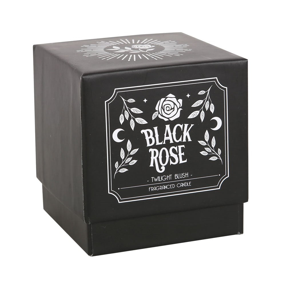 Black Rose Twilight Blush-ljus