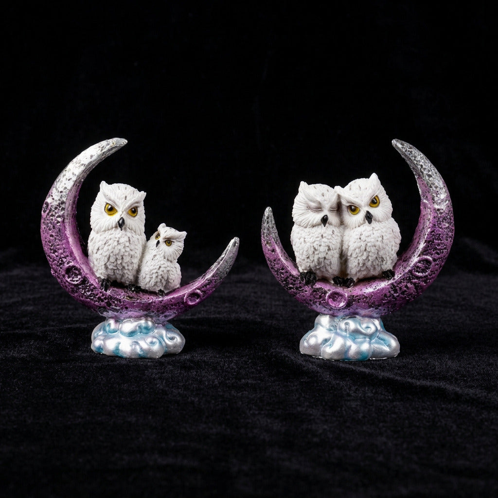 Magical Owl Cresent Moon