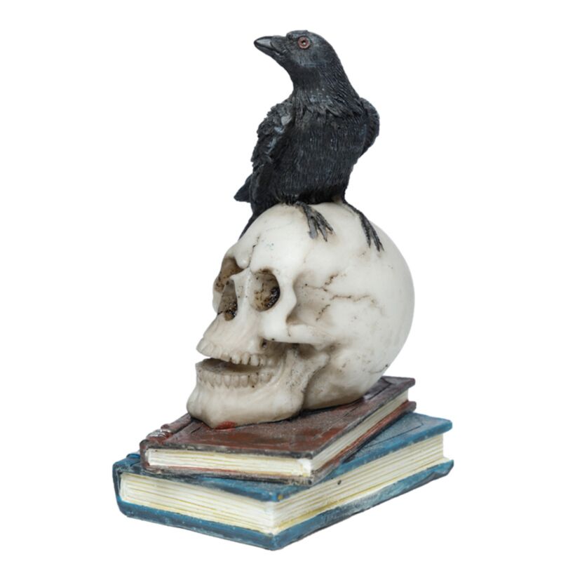 Crow On A Skull And Books