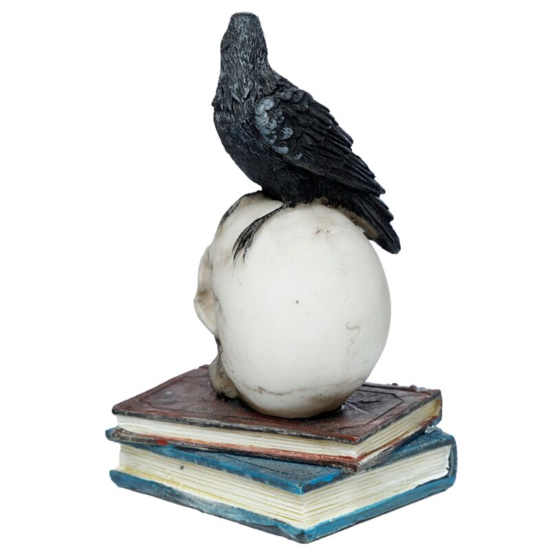 Crow On A Skull And Books