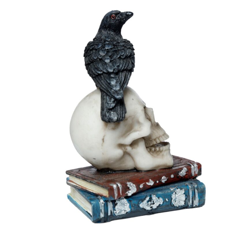Crow On A Skull And Books