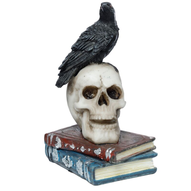 Crow On A Skull And Books