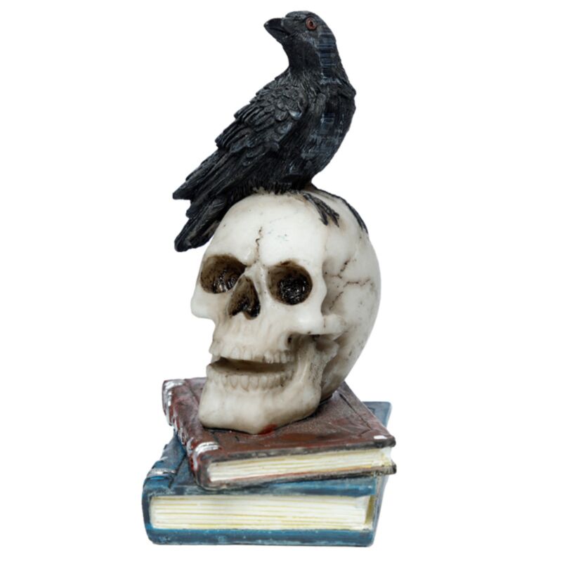 Crow On A Skull And Books
