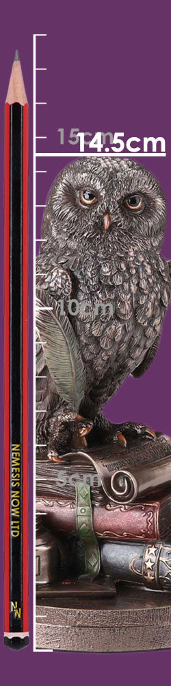 En uggles berättelse