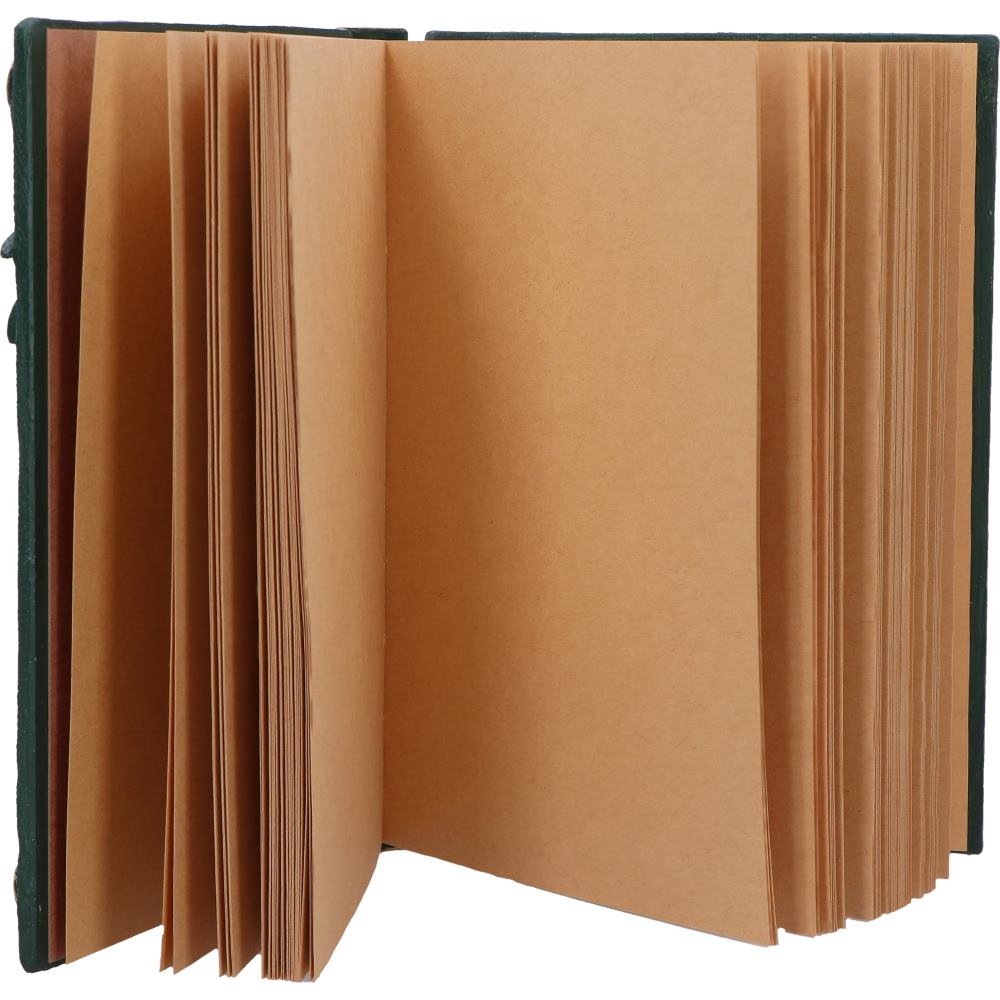 Dragon's Grimoire Journal