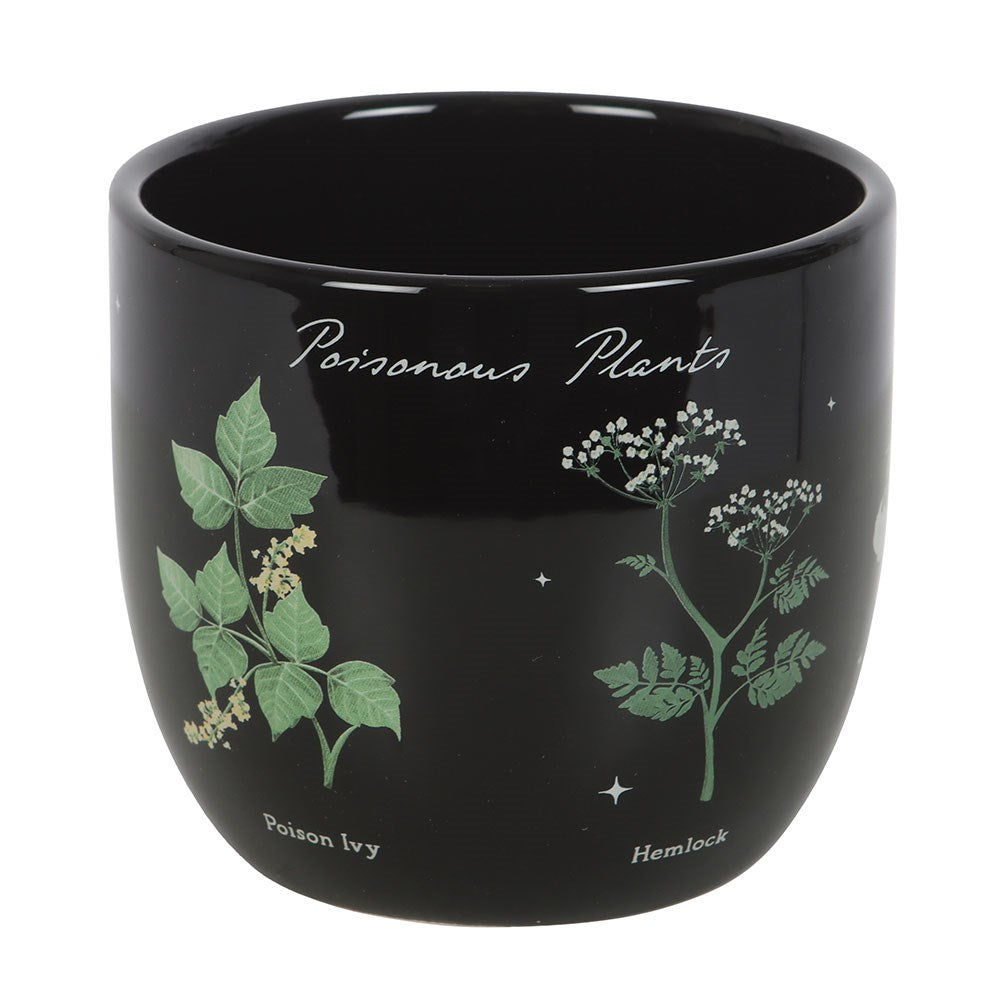 Venom & Vines Poisonous Plants Ceramic Plant Pot