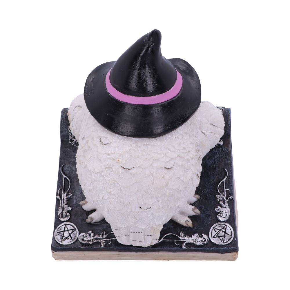 Ugglans förtrollning