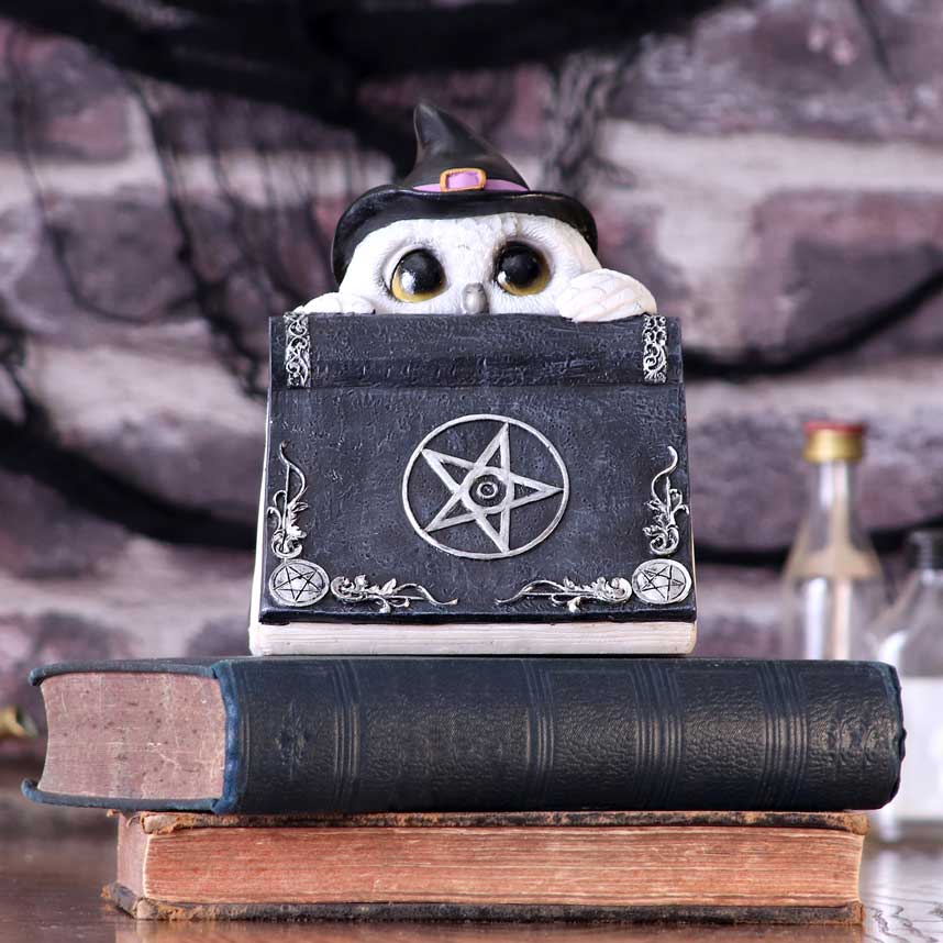 Ugglans förtrollning