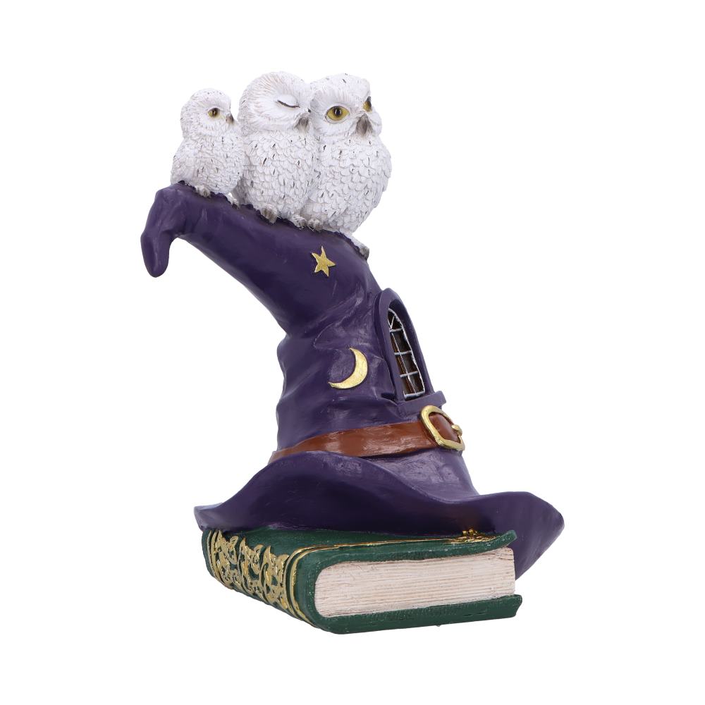 Den häxande abborren