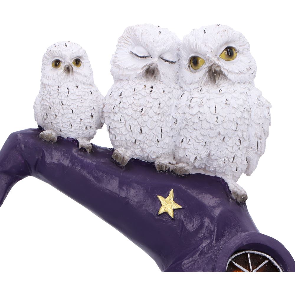 Den häxande abborren