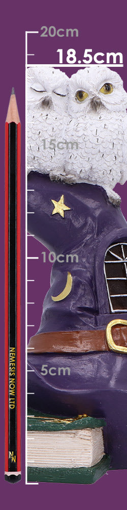 Den häxande abborren